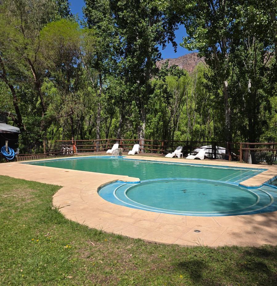 Piscina del complejo rodeada de árboles